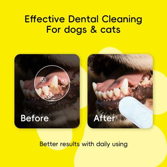 PET DENTAL FINGER WIPES