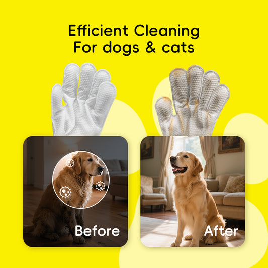 PET GLOVE WIPES