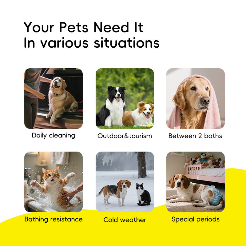 PET GLOVE WIPES