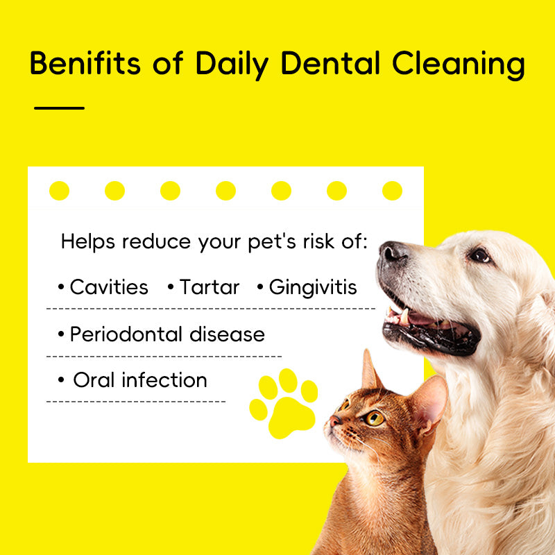 PET DENTAL FINGER WIPES